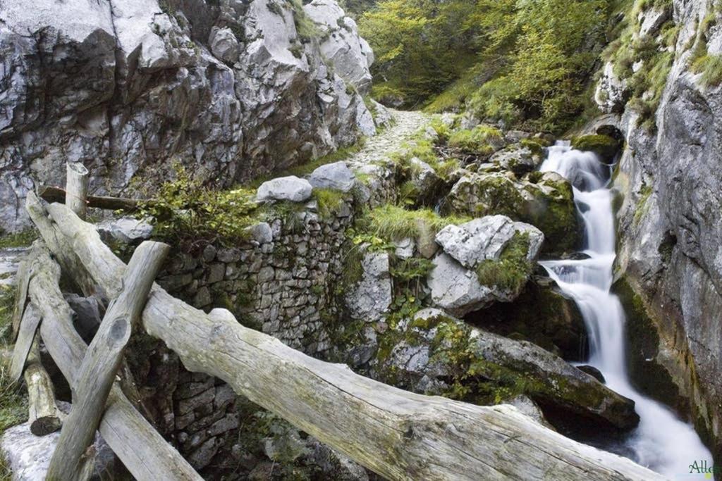 Los Molinos - Atico en Montaña de Asturias Felechosa Exterior foto