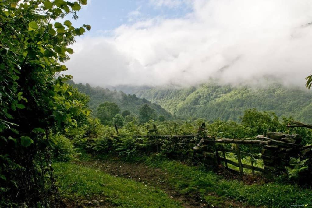 Los Molinos - Atico en Montaña de Asturias Felechosa Exterior foto